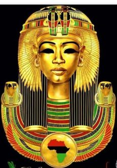 tut3 tut3